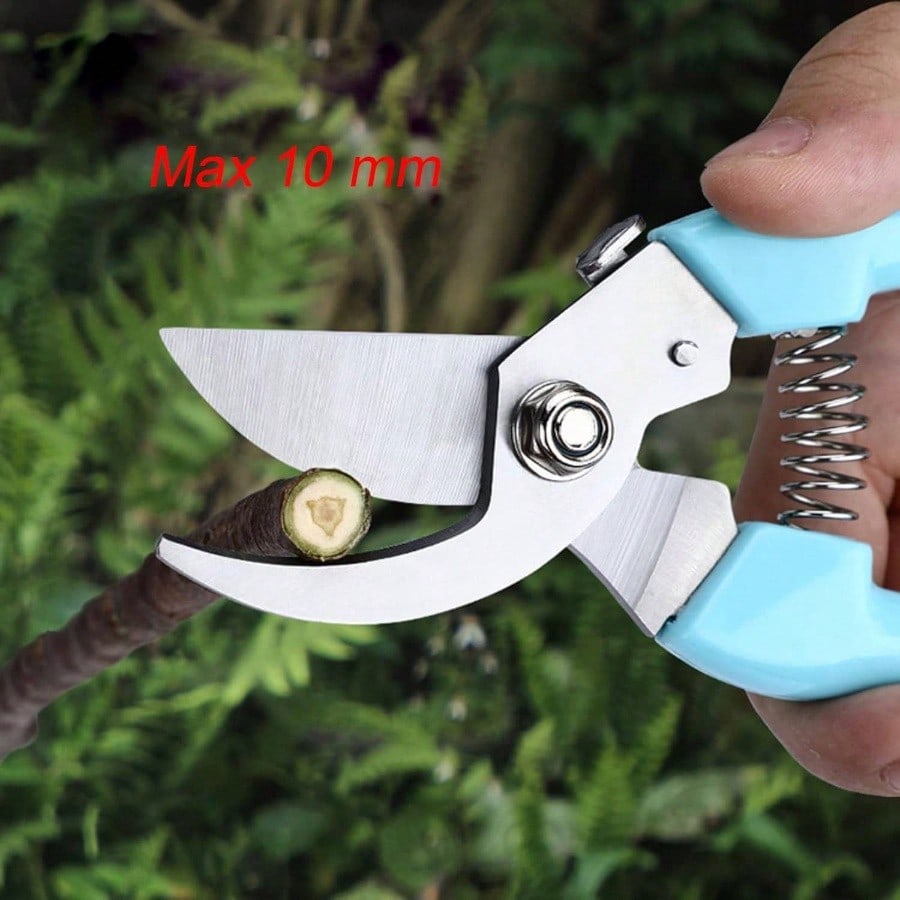 Curve Gardening Scissor With S - Pinking Shear Blade reseña y precio