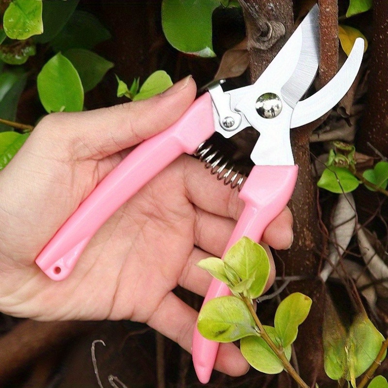 2 Pack Flower Scissors(Pink),  - Pinking Shear Blade reseña y precio